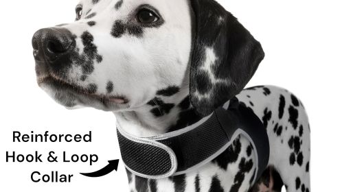 Waterproof Tracking Collars for Hunting Dogs Realtime GPS Pet Tracker Size:XXL